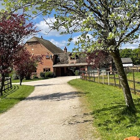Self Catering Apartment, Jurassic Coast/Dorset Wareham Eksteriør bilde