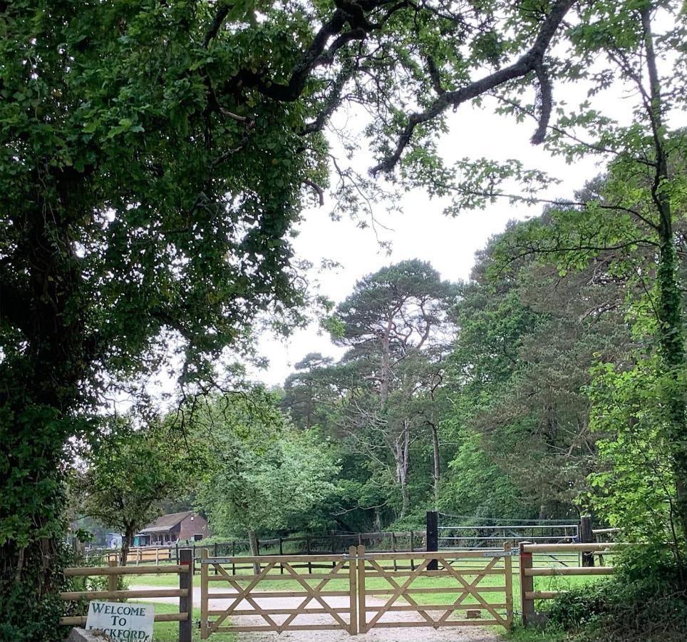 Self Catering Apartment, Jurassic Coast/Dorset Wareham Eksteriør bilde