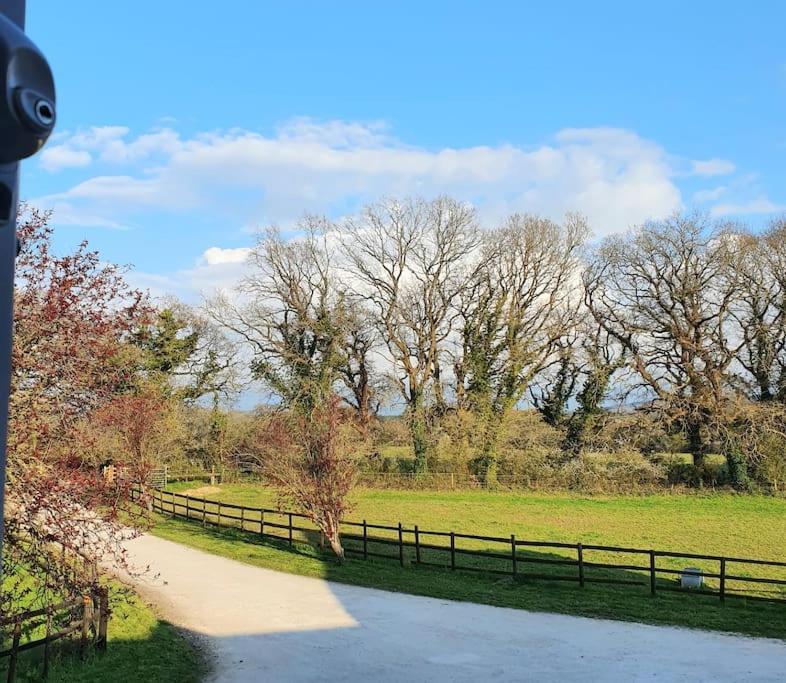 Self Catering Apartment, Jurassic Coast/Dorset Wareham Eksteriør bilde