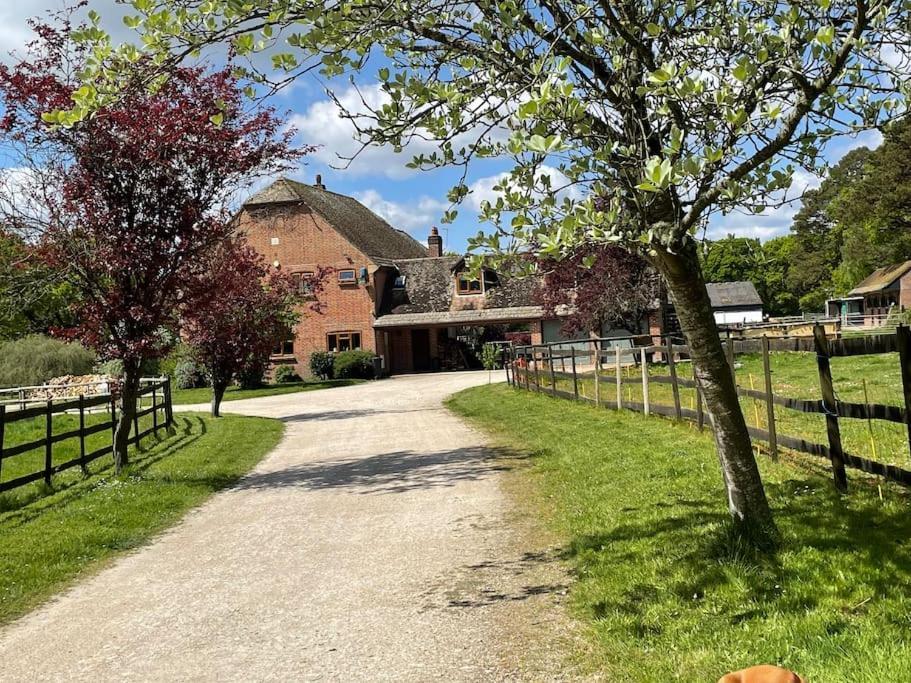 Self Catering Apartment, Jurassic Coast/Dorset Wareham Eksteriør bilde