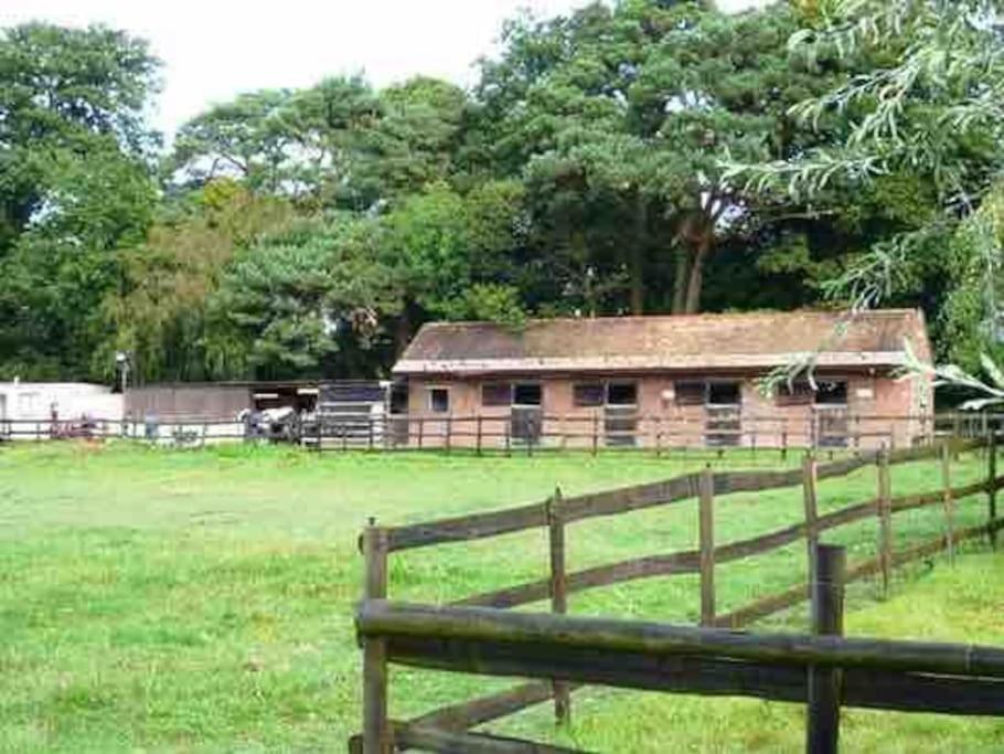 Self Catering Apartment, Jurassic Coast/Dorset Wareham Eksteriør bilde