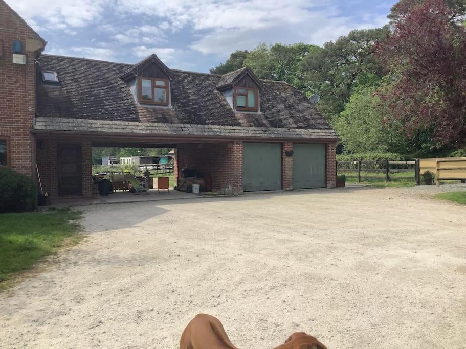 Self Catering Apartment, Jurassic Coast/Dorset Wareham Eksteriør bilde